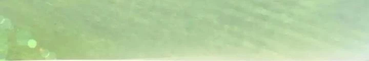 Tiểu Manh Bảo Bốn Tuổi Theo Sư Phụ Xuống Núi Chapter 316 - 12