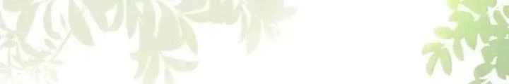 Tiểu Manh Bảo Bốn Tuổi Theo Sư Phụ Xuống Núi Chapter 332 - 16