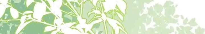 Tiểu Manh Bảo Bốn Tuổi Theo Sư Phụ Xuống Núi Chapter 333 - 26