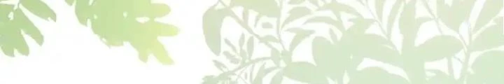 Tiểu Manh Bảo Bốn Tuổi Theo Sư Phụ Xuống Núi Chapter 339 - 14