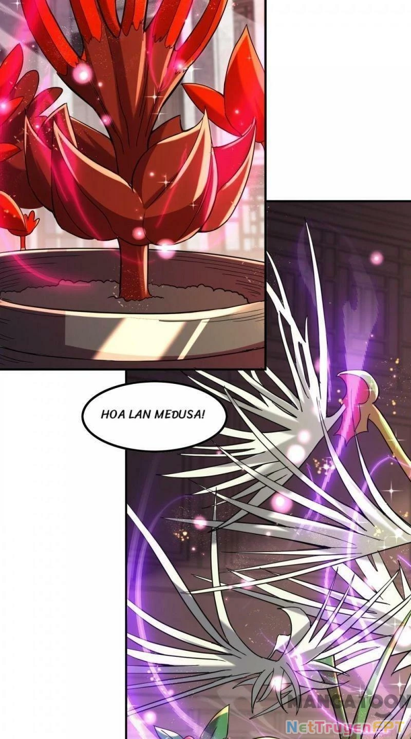 Đệ Nhất Ở Rể Chapter 117 - 11