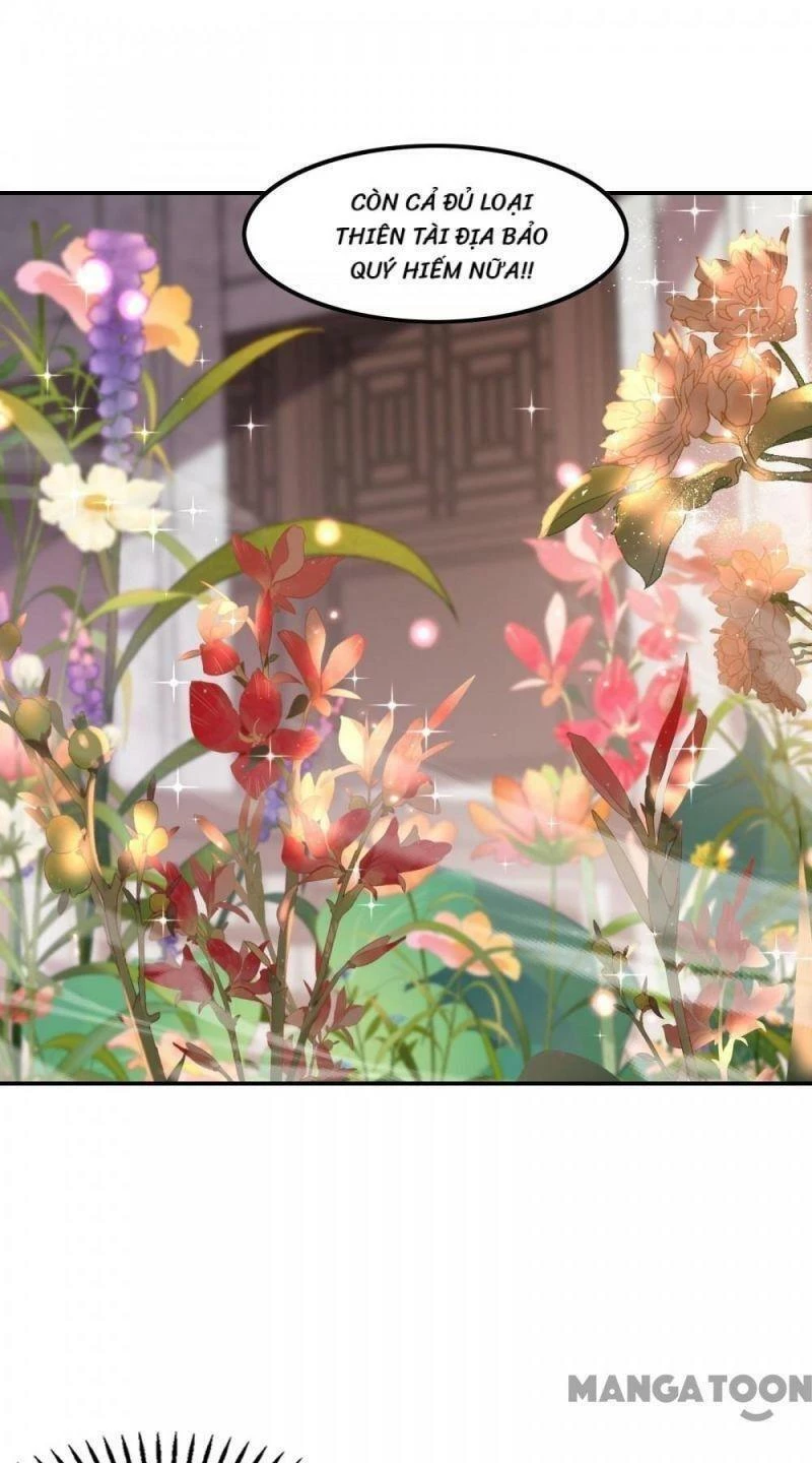 Đệ Nhất Ở Rể Chapter 117 - 13