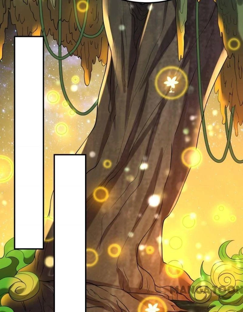 Đệ Nhất Ở Rể Chapter 133 - 14