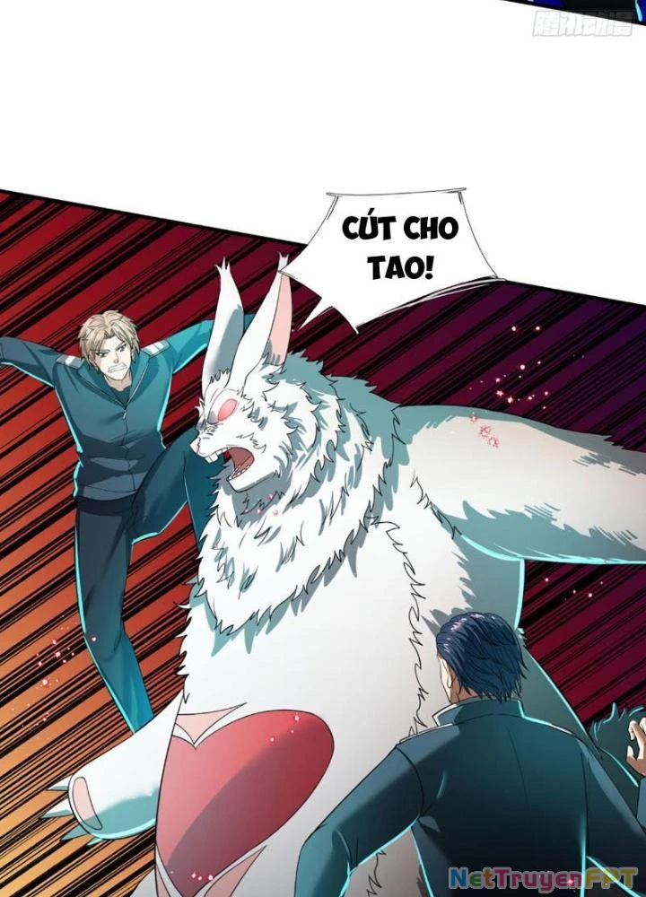 Ta Chẳng Làm Gì Cũng Vô Địch Chapter 67 - 59