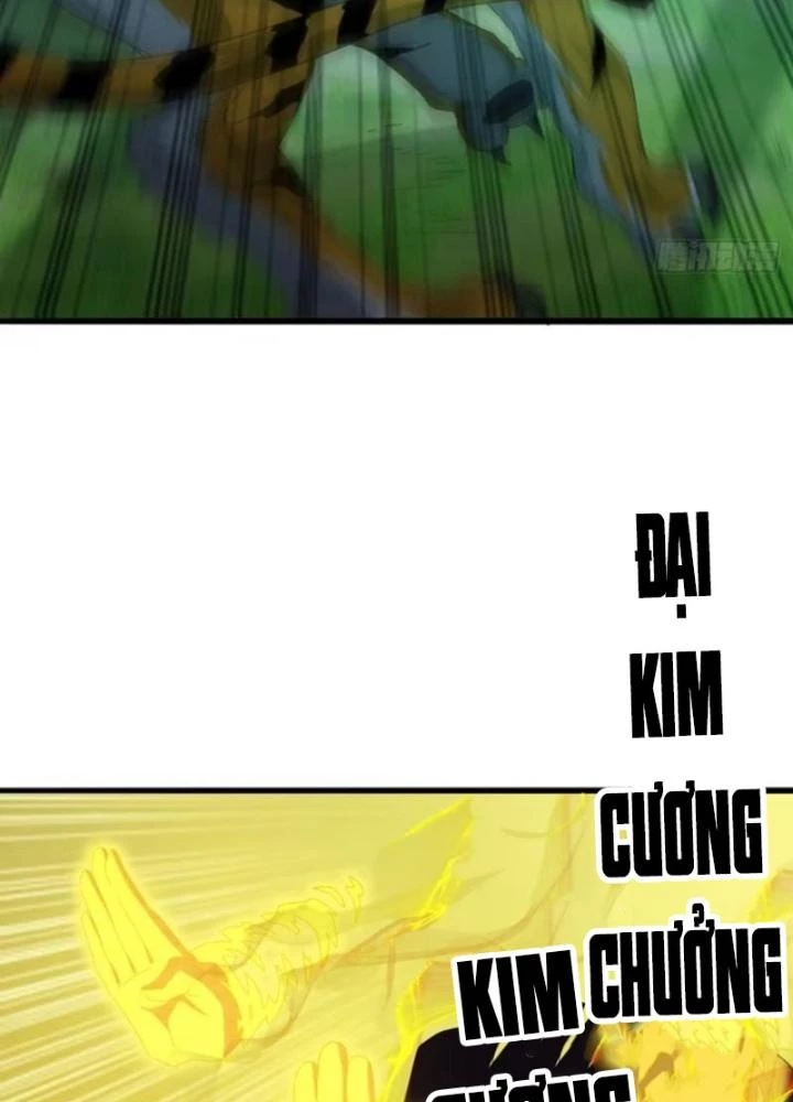 Kim Cương Bất Hoại Đại Trại Chủ Chapter 17 - 93
