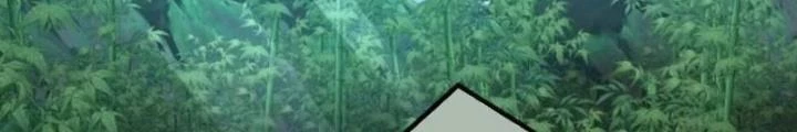 Kim Cương Bất Hoại Đại Trại Chủ Chapter 18 - 78