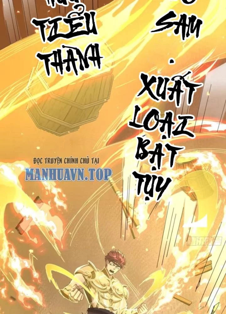 Kim Cương Bất Hoại Đại Trại Chủ Chapter 22 - 43