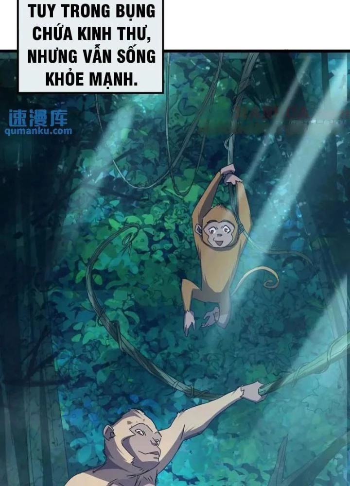 Kim Cương Bất Hoại Đại Trại Chủ Chapter 42 - 19