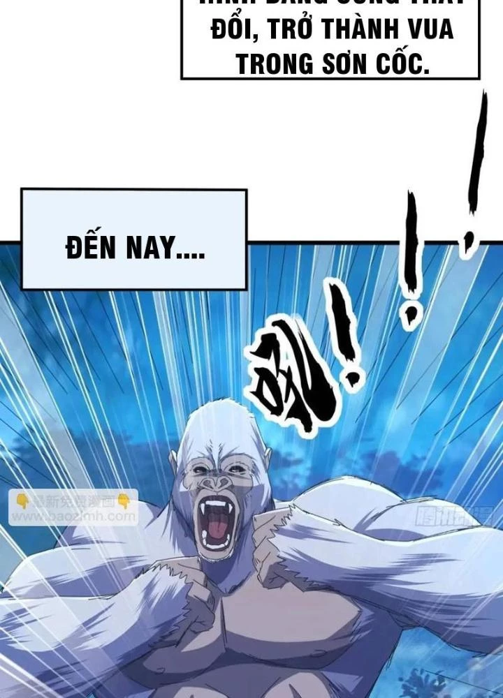 Kim Cương Bất Hoại Đại Trại Chủ Chapter 42 - 25