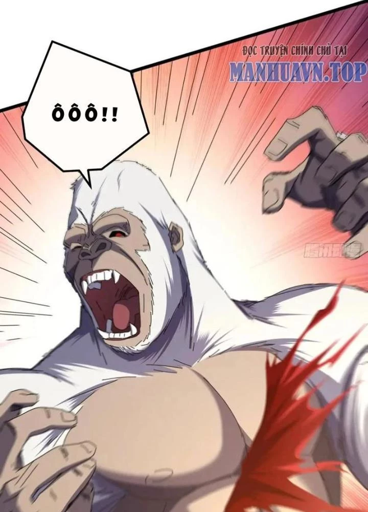Kim Cương Bất Hoại Đại Trại Chủ Chapter 42 - 95
