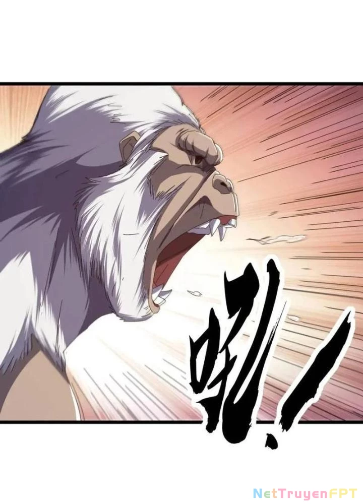 Kim Cương Bất Hoại Đại Trại Chủ Chapter 42 - 101