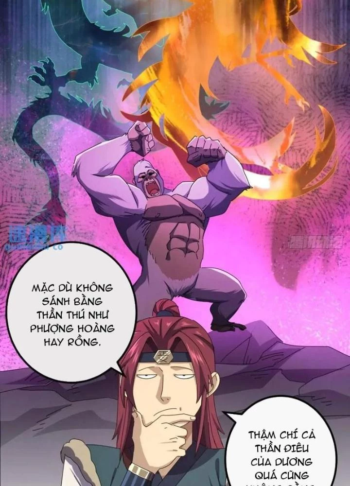 Kim Cương Bất Hoại Đại Trại Chủ Chapter 43 - 7