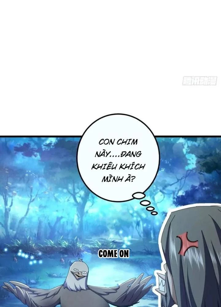 Kim Cương Bất Hoại Đại Trại Chủ Chapter 45 - 71