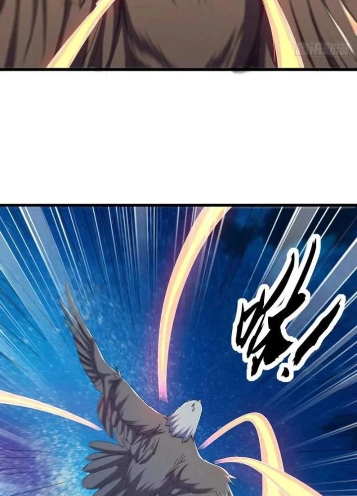 Kim Cương Bất Hoại Đại Trại Chủ Chapter 45 - 85