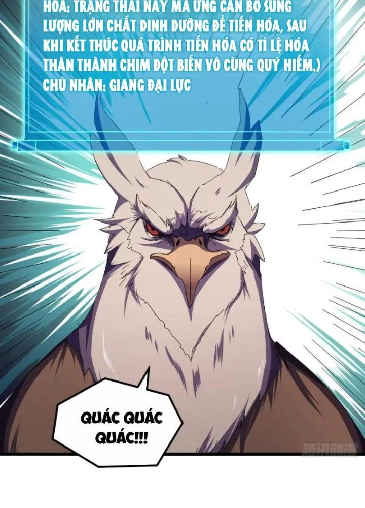 Kim Cương Bất Hoại Đại Trại Chủ Chapter 51 - 77