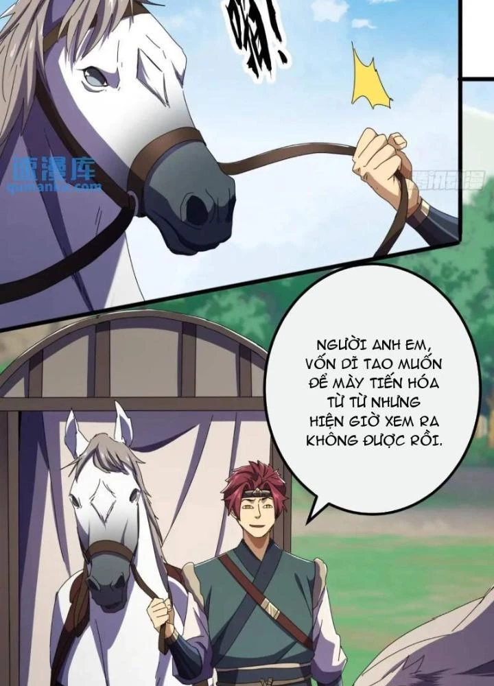 Kim Cương Bất Hoại Đại Trại Chủ Chapter 51 - 85