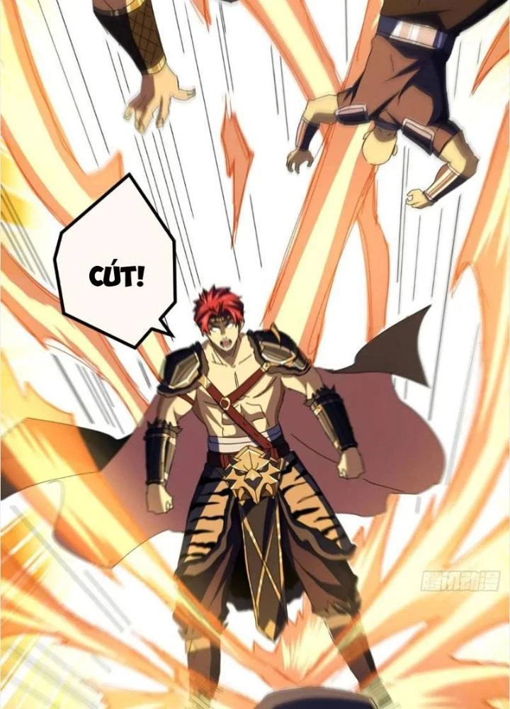 Kim Cương Bất Hoại Đại Trại Chủ Chapter 68 - 115