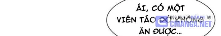 Cực Phẩm Bại Gia Tử Chapter 261 - 66