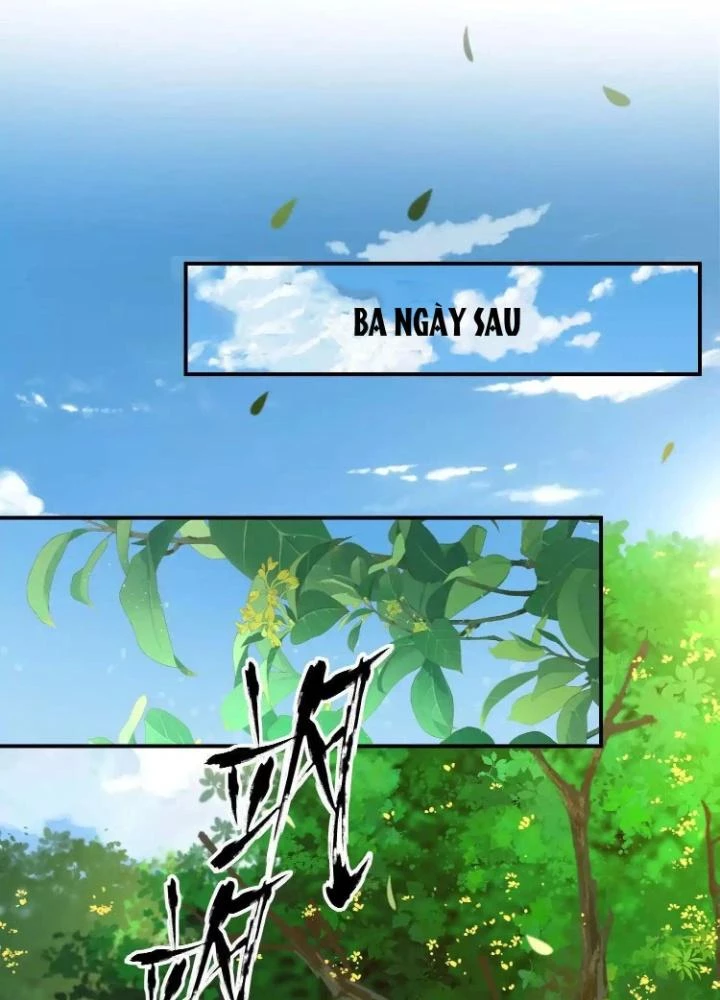 Tạo Vật Giả Chapter 29 - 67