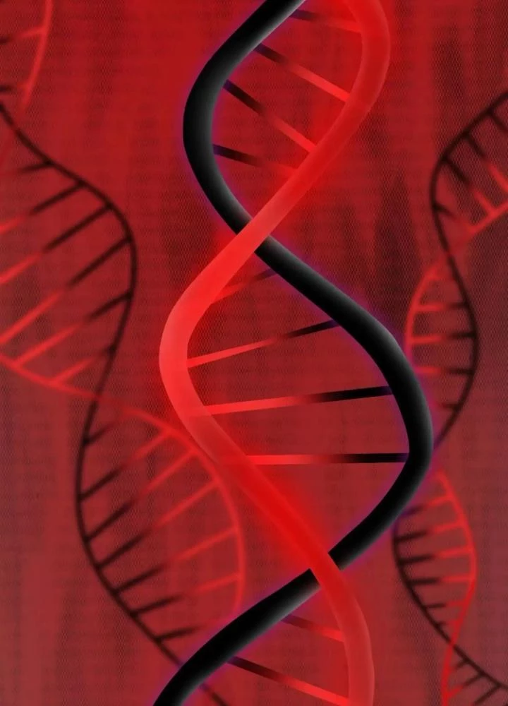 Tạo Vật Giả Chapter 59 - 39