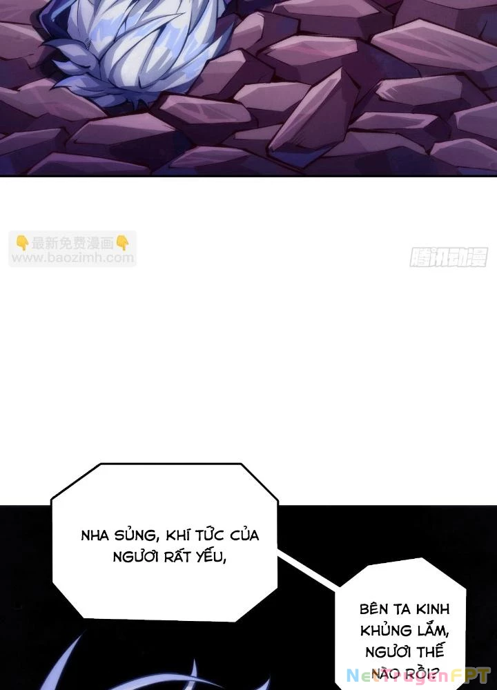 Long Hưởng Thiên Hạ Chapter 95 - 11