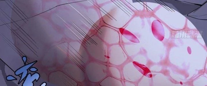 Ta Bị Nhốt Ở Nội Trác Phủ 1000 Năm Chapter 18 - 212