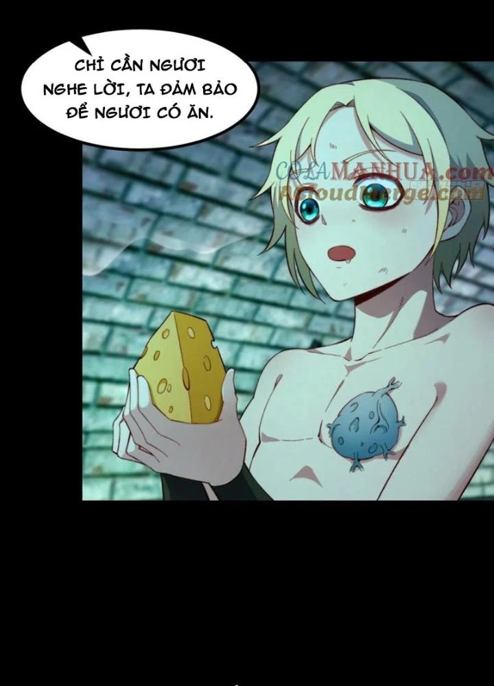 Ta Bị Nhốt Ở Nội Trác Phủ 1000 Năm Chapter 41 - 13