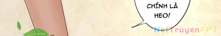 Dị Giới Trung Dược Phổ Chapter 72 - 16