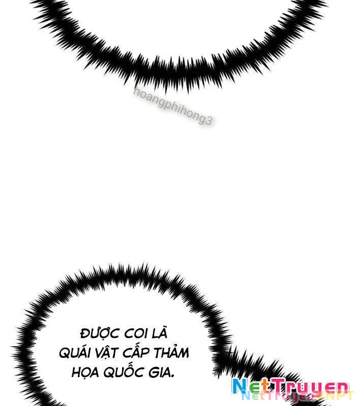 Hồi Quy Giả Về Hưu Chapter 60 - Trang 2