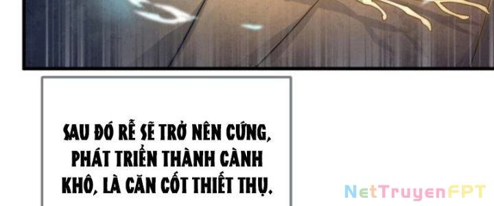 Võ Thánh Này Khảng Khái Quá Rồi Chapter 11 - 82