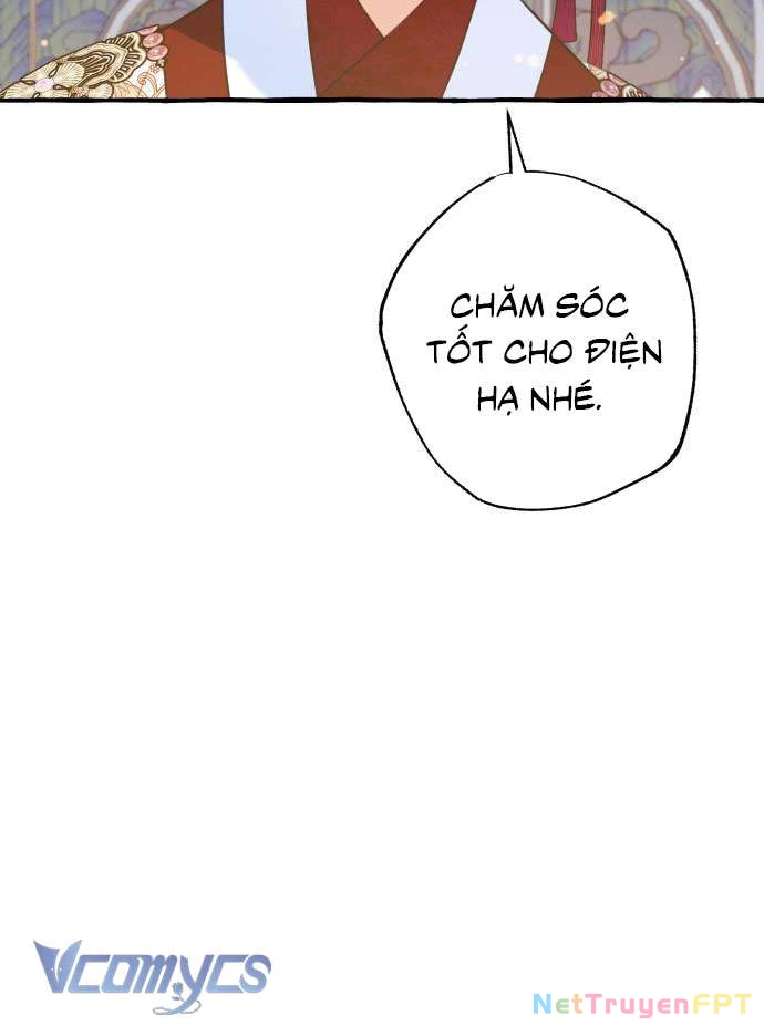 Chuyện Tình Tuyết Phương Bắc Chapter 33 - Trang 2