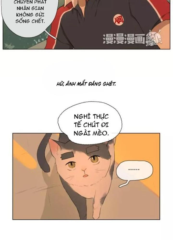 Dịch Vụ Chuyển Phát Nhanh Nhân Gian Chapter 20 - 19