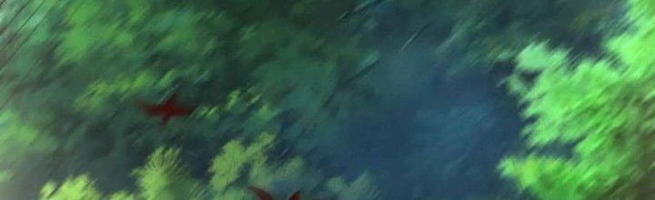 Bỉ Nhân Độc Tìm Đường Chết Chapter 19 - 133