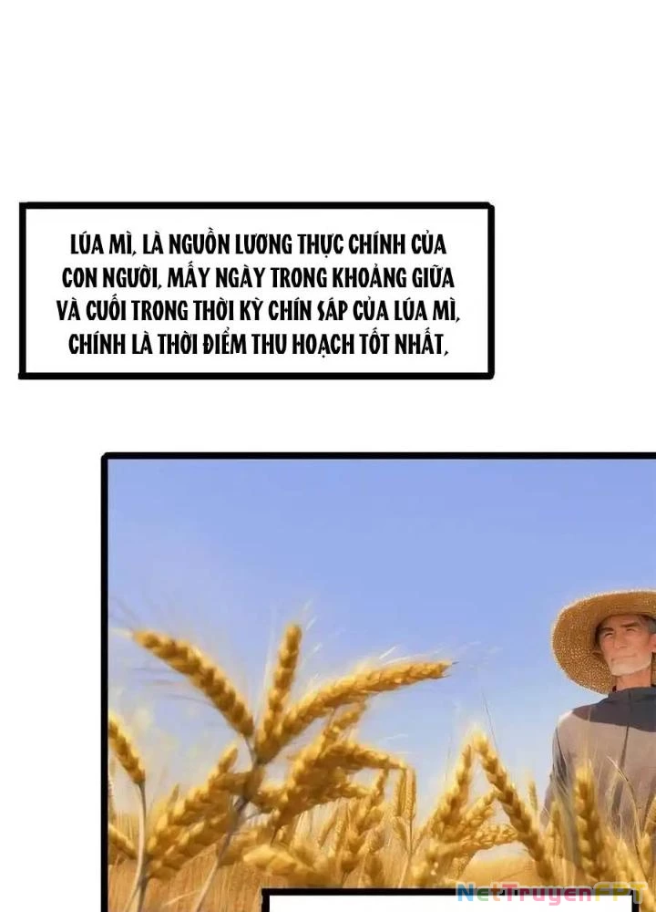 Đặc Nhiệm Siêu Cấp Thành Phố Chapter 329 - 65