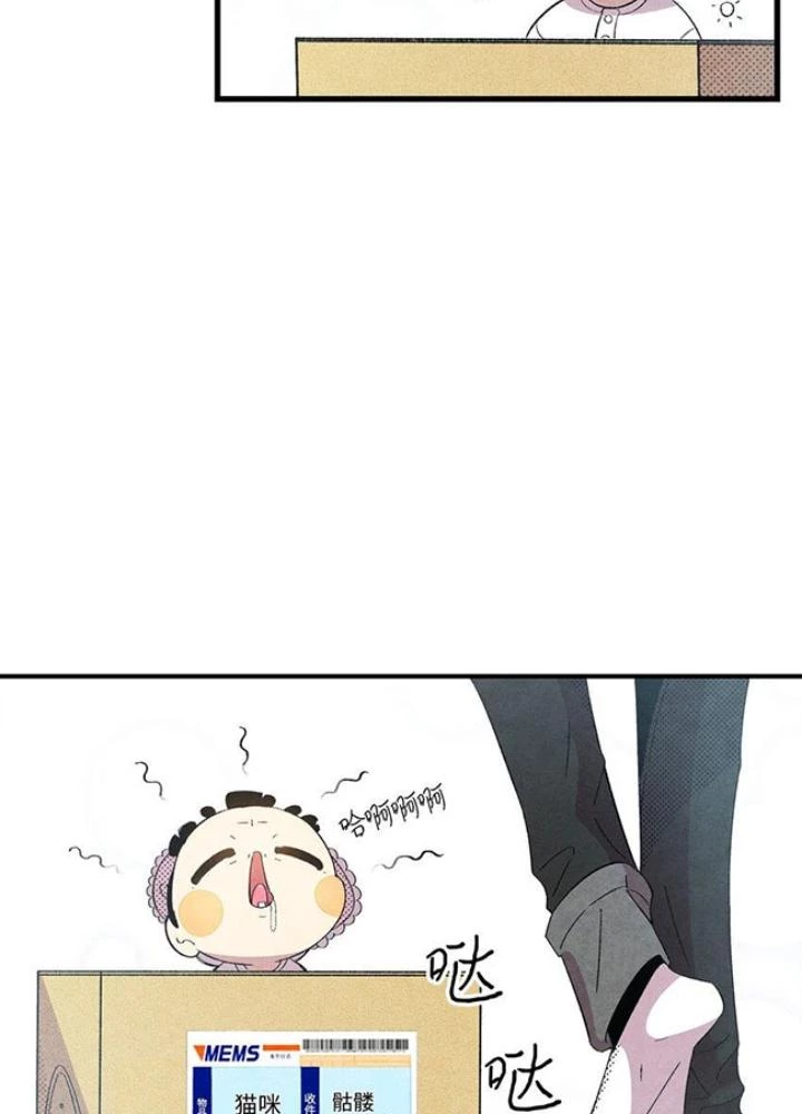 Skeleton Làm Bố Chapter 2 - 51