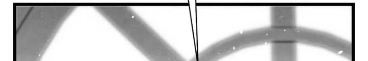 Skeleton Làm Bố Chapter 53 - 166