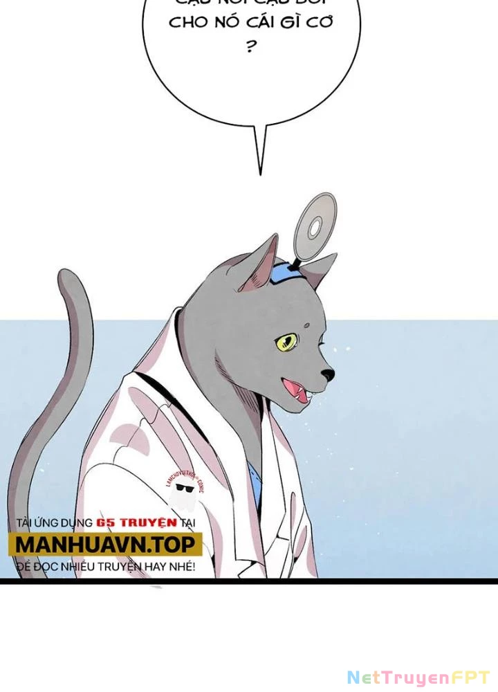 Skeleton Làm Bố Chapter 67 - 11
