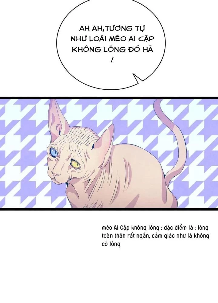 Skeleton Làm Bố Chapter 69 - 83