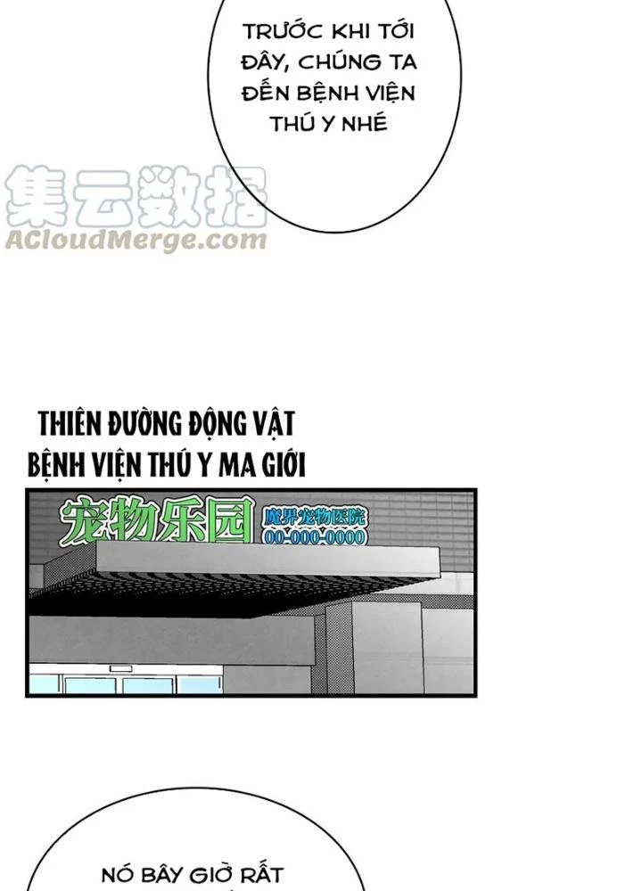 Skeleton Làm Bố Chapter 84 - 81