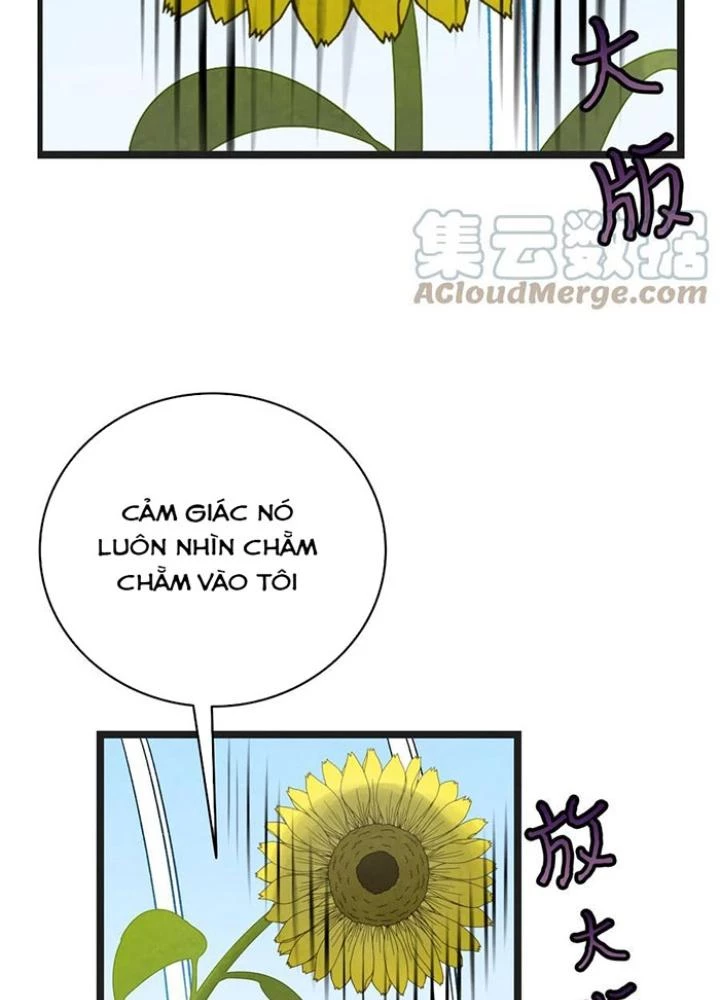 Skeleton Làm Bố Chapter 91 - 133