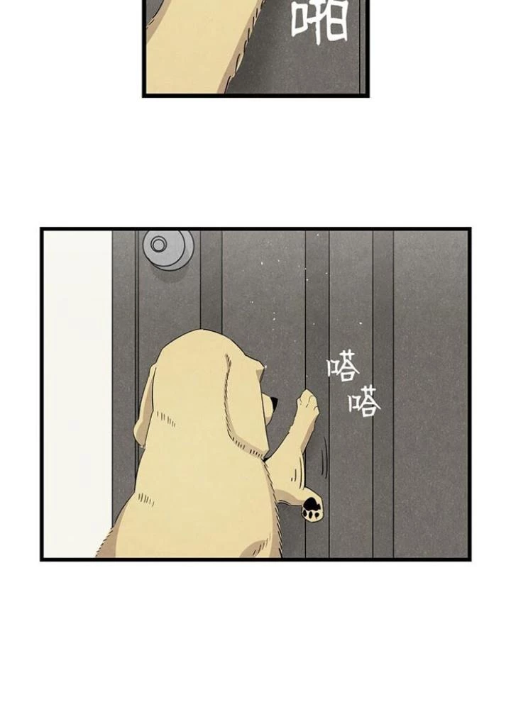 Skeleton Làm Bố Chapter 116 - 13