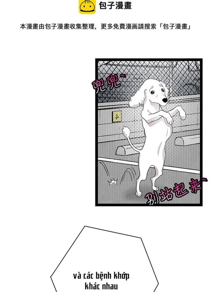 Skeleton Làm Bố Chapter 126 - 51
