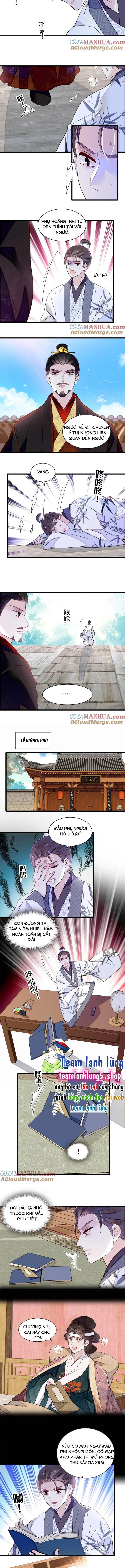 Tự Cẩm Chapter 352 - 3