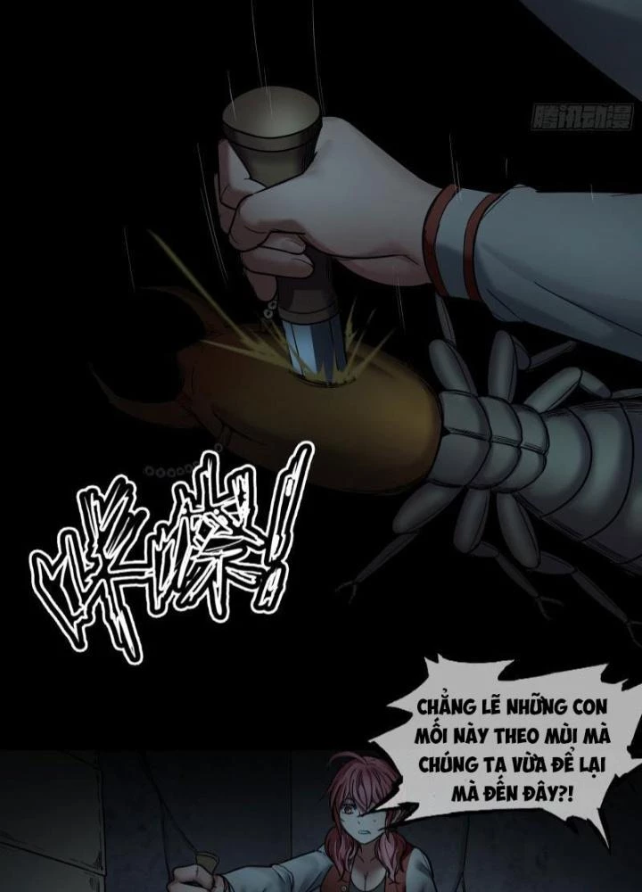Hắc Dạ Trùng Sinh Chapter 33 - 43