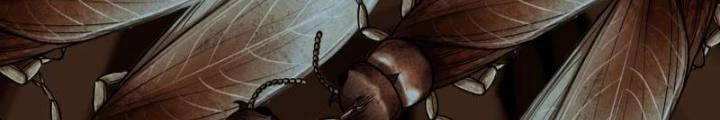 Hắc Dạ Trùng Sinh Chapter 35 - 18
