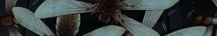 Hắc Dạ Trùng Sinh Chapter 35 - 54