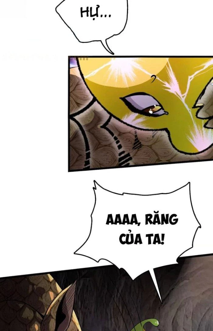 Tiến Hóa Đi, Caterpie Chapter 34 - 22