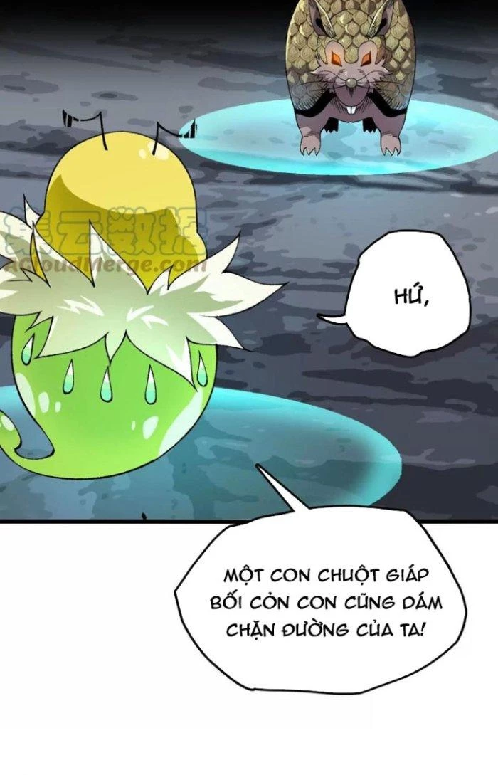 Tiến Hóa Đi, Caterpie Chapter 34 - 24