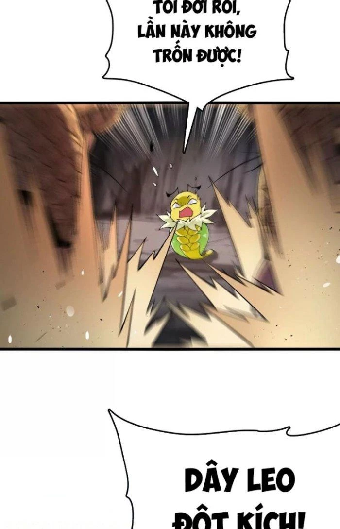 Tiến Hóa Đi, Caterpie Chapter 34 - 42