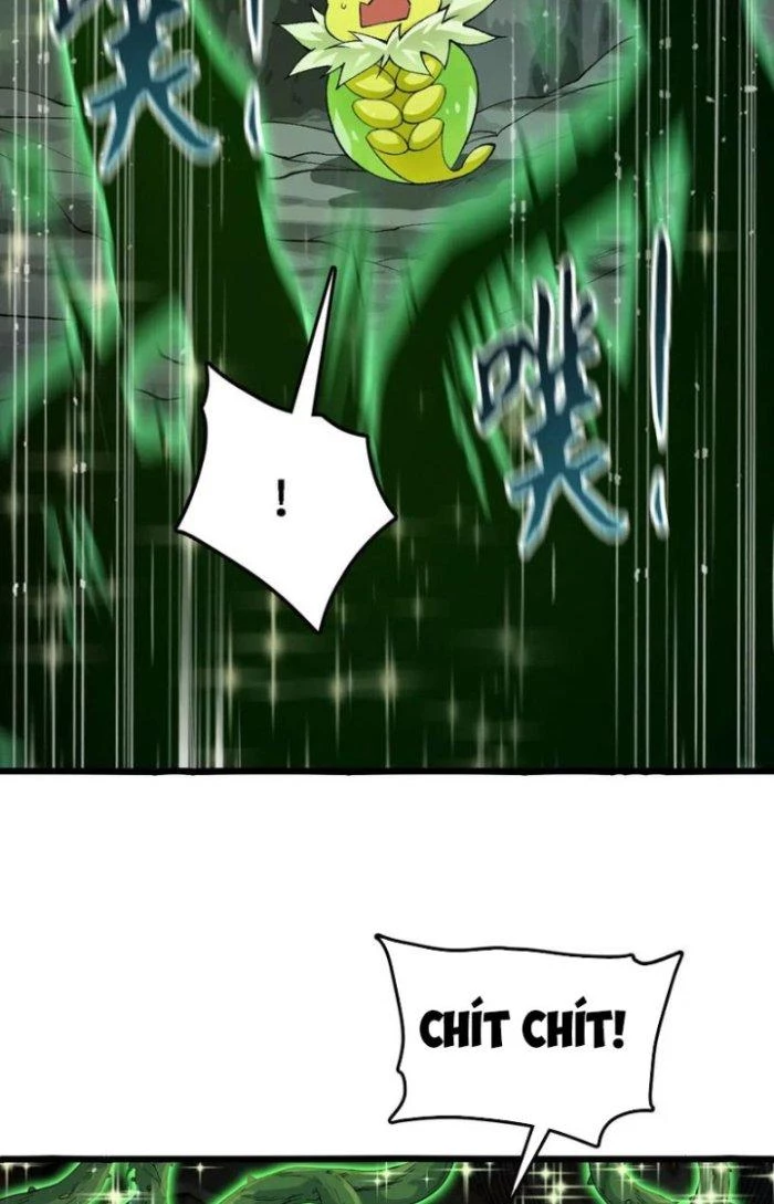 Tiến Hóa Đi, Caterpie Chapter 34 - 44